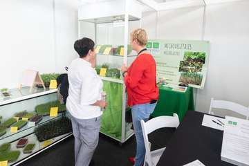 Inauguración de la Feria Gran Canaria Me Gusta (Foto TA)